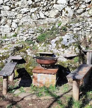 Nature Apartament