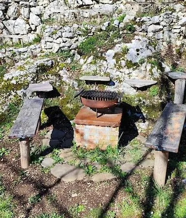 Apartament Nature